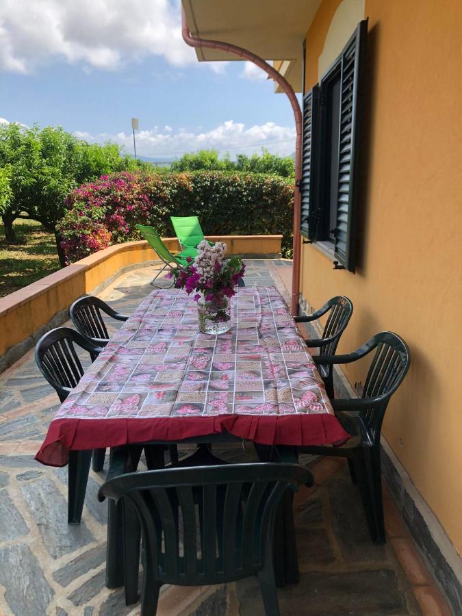 Apartamento Casa Clementina Pizzo  Exterior foto